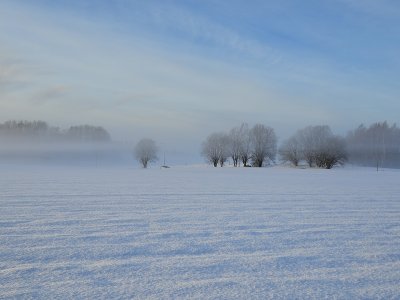 20241124_144210.jpg
