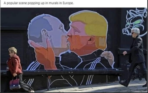 1732563359607.png