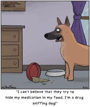 1732565520883.png