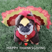 image0-1.gif