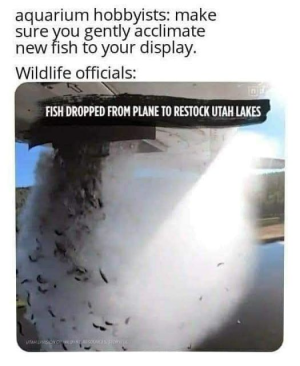 1733101643648.png