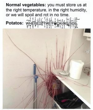 392e5705-9f46-4a70-8540-3f1fabbb0c00.jpeg