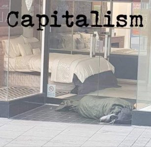 1733176614335.jpeg