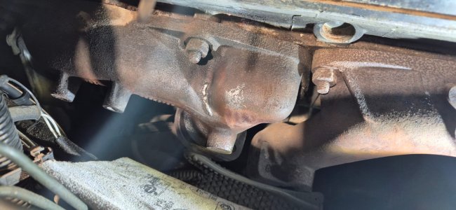 WhatsApp Image 2024-12-07 at 11.20.44.jpeg