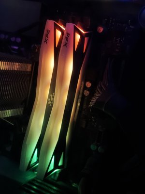 RAM.jpg
