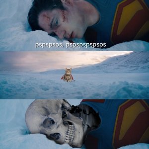 superman.jpg