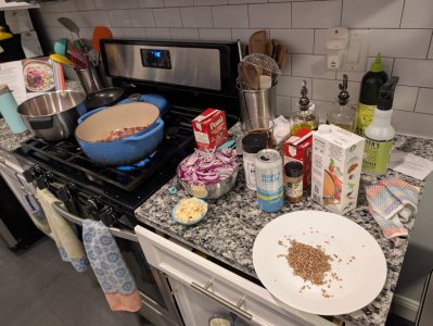 PXL_20241225_021957190 - Copy (Medium).jpg