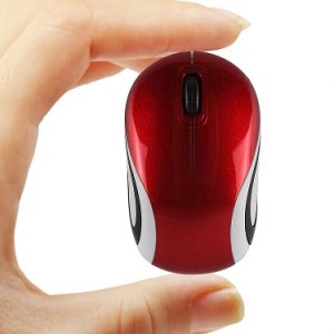 mouse.jpg