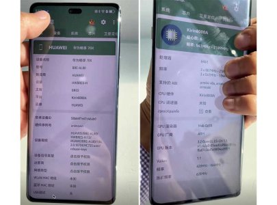 1735567490869.jpeg 1735567490869.jpeg