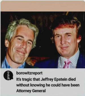 1736473699619.png