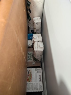 PXL_20250111_003131157 - Copy (Medium).jpg