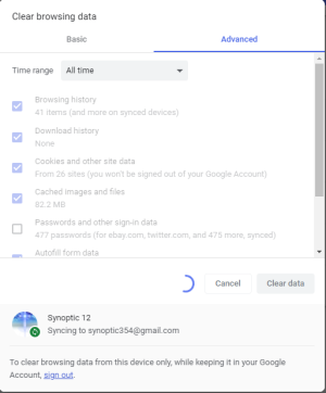 Browsing Data 1.png