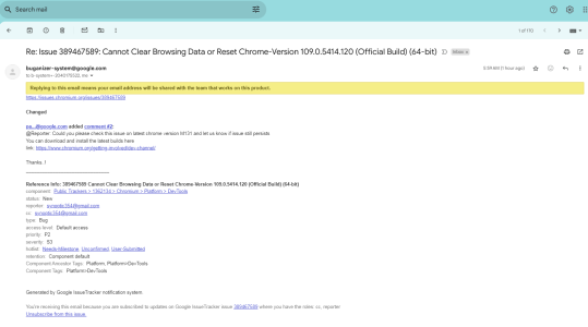 Chrome Issue.png