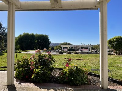 IMG_6063.jpeg