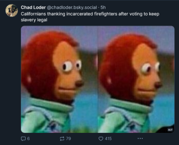 1737124517488.png