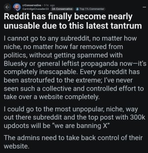 bafkreibrdhm74ckoyd7l6yftz645yffg7ik4szxqmfxoa46cmxyx7virae.jpg