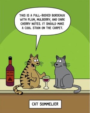 3184-wine-cats.jpg