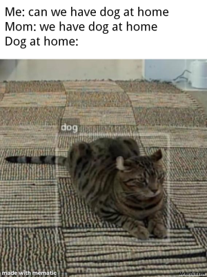 1738100610746.png
