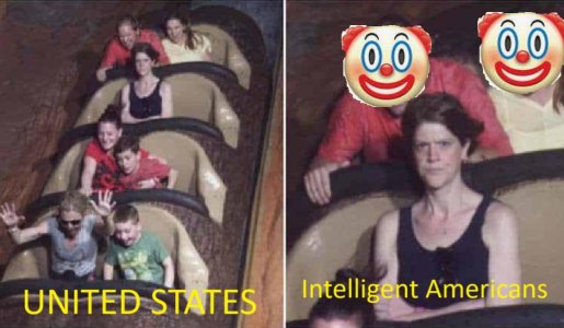 vuy7js6yvzfe1.jpeg