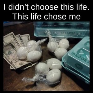 20250201_034554329_iOS.jpg 20250201_034554329_iOS.jpg