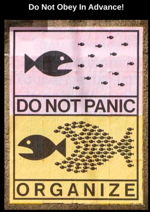 1739484278825.png