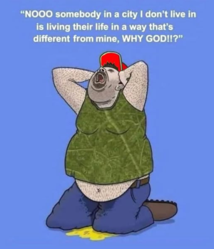 1739917027849.png