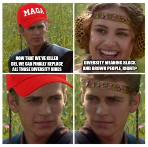 yl5mu7nhpyje1.jpeg
