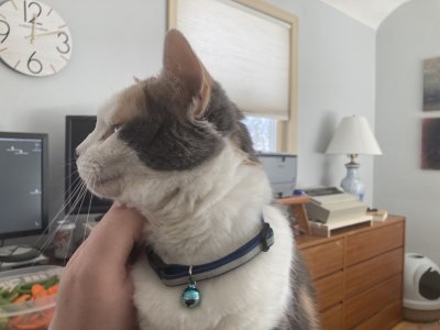 IMG_3071.jpeg