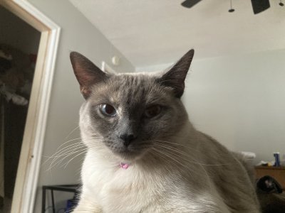 IMG_3039.jpeg