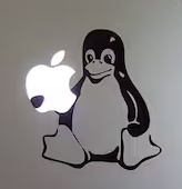 1740101693220.png