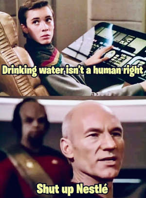 1740187083527.png