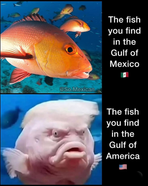 1740764651050.png