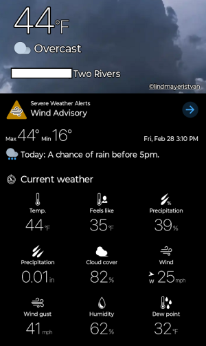 windy.png