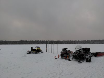 IMG_20250227_175110.jpg