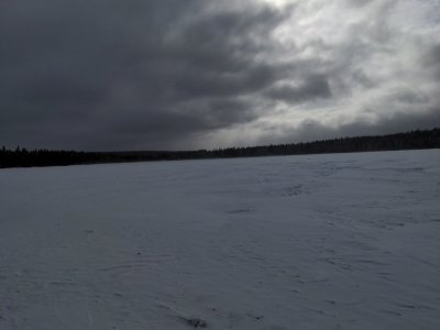 IMG_20250227_145035.jpg