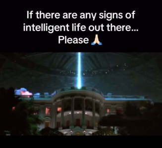 1000023988.png