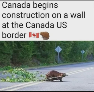 1740857659849.png