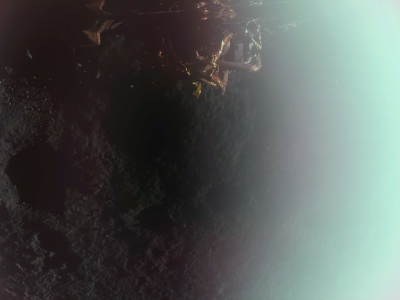 1740931452285.png