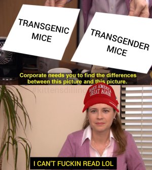 481703908_10236348748119944_921452748150043922_n.jpg