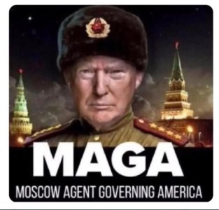 bafkreibd4iajeijcuzthcntiikorlnuw2e5wf7rt725g3ahzglcvvp5l4a (Small).jpg