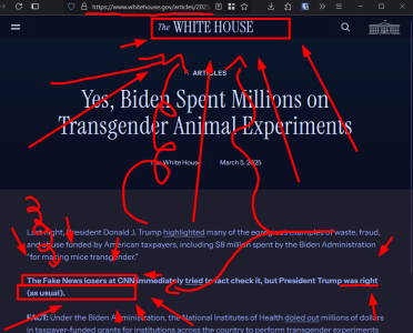 xjcmz0trtrne1.png