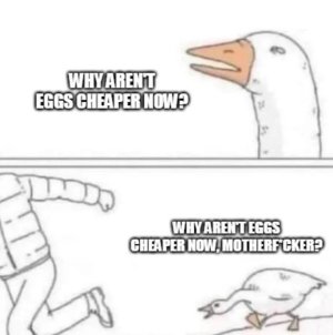 bafkreiehvfj4jp6v2rvsmmg6lzvqtn3lce47zkbx5mvyv2kkhydk22eteq.jpg
