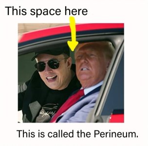 bafkreibaoy32wlsktarjiwznzktddl3dyjdowhxd3dxwugbr63ym6zv47e (Medium).jpg