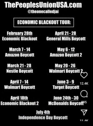 Boycotts 2025.jpg