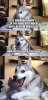 1572497861248.png
