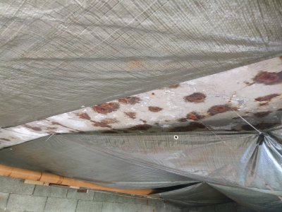 IMG_20230521_083746 (Custom).jpg