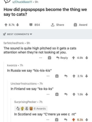 1000037402.jpg