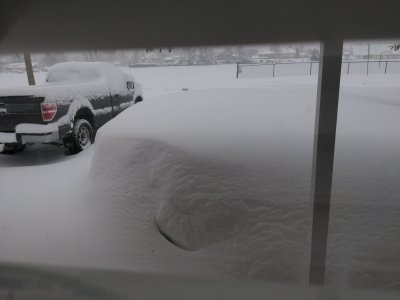 IMG_20250320_081216.jpg