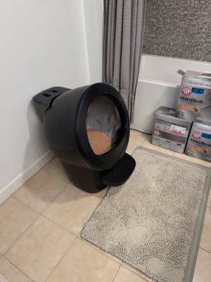 poop palace.jpeg