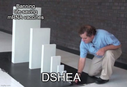 1742671905560.jpeg
